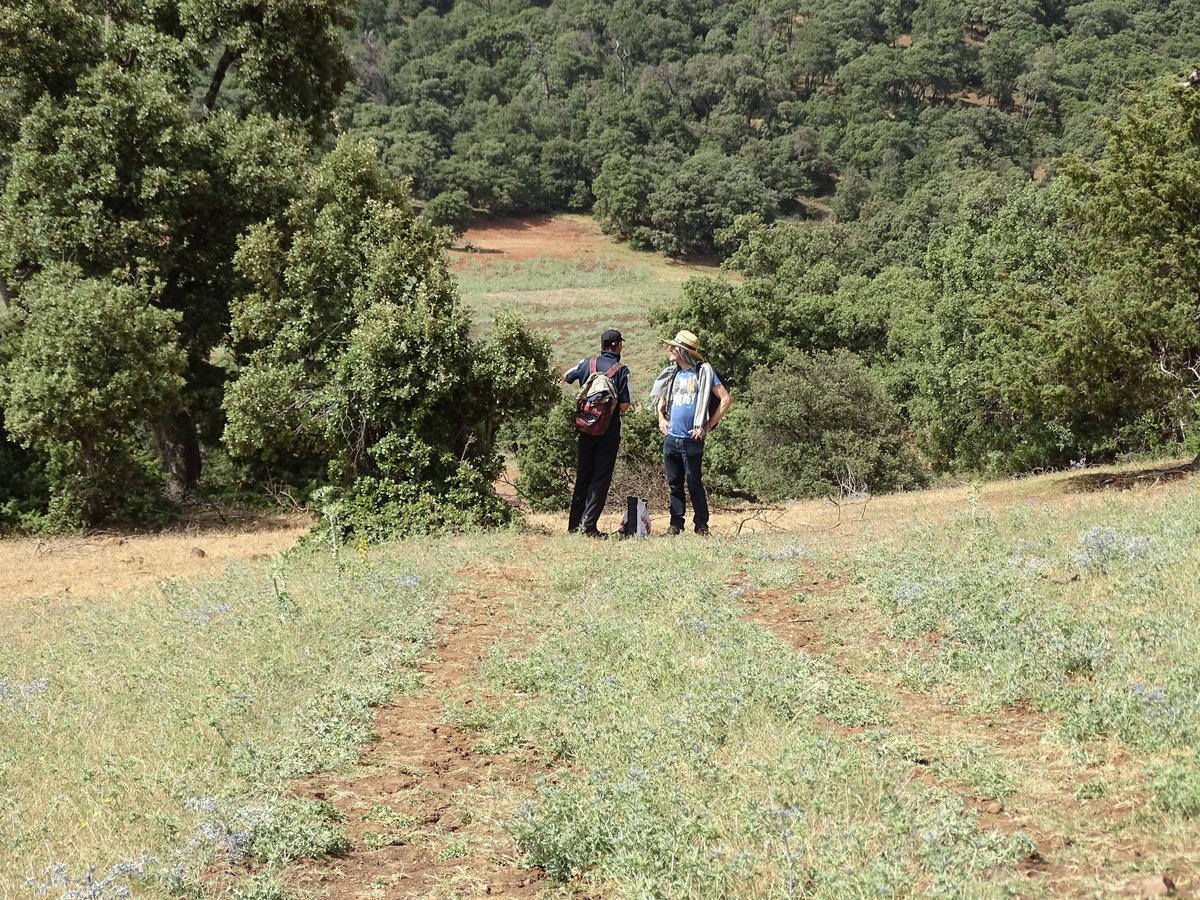 Le Gite Du Barrage Zaouia Ben Smine Εξωτερικό φωτογραφία