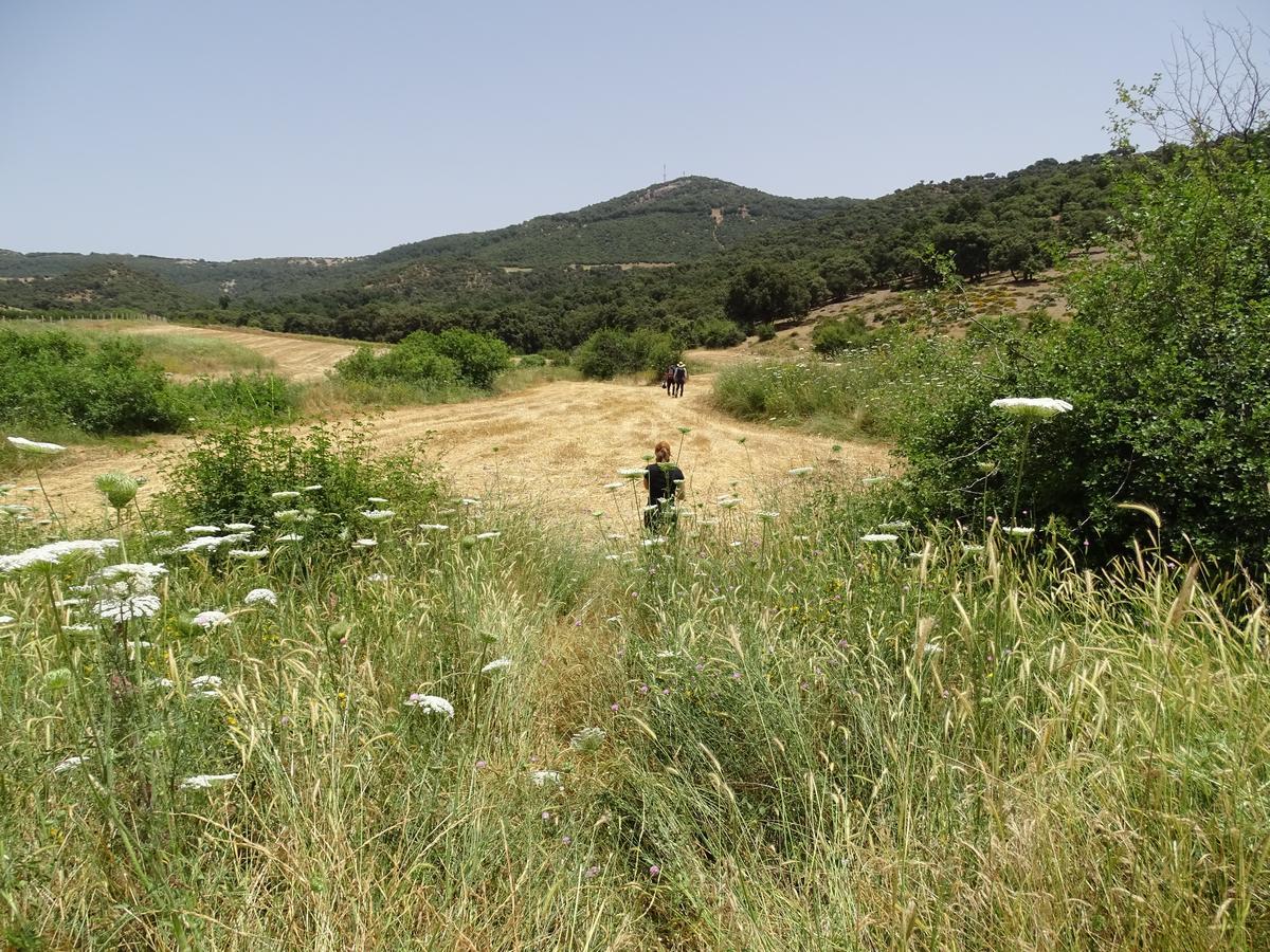 Le Gite Du Barrage Zaouia Ben Smine Εξωτερικό φωτογραφία